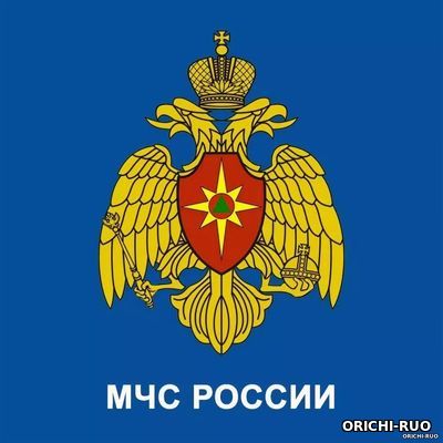 Высшие учебные заведения МЧС России.